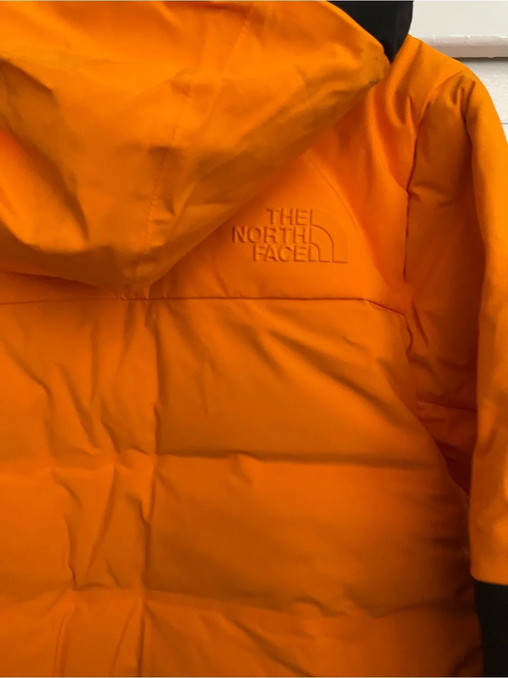 The North Face Men’s Orange and Black Hooded Puffer Jacket